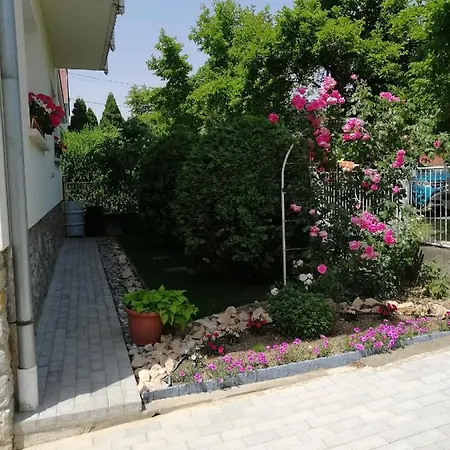 Daire Gyöngyi Hévíz